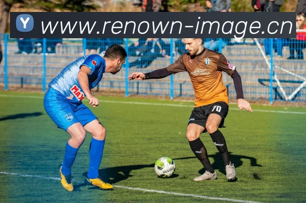 易倍emc官方平台生态图